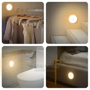 Body Induction Motion Sensor Light
