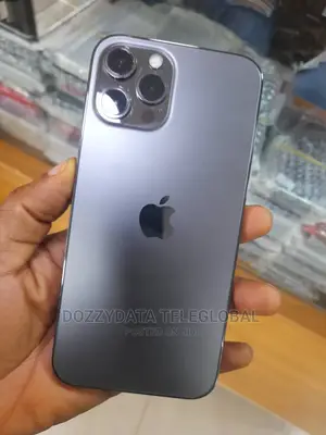 Apple iPhone 13 Pro Max 128 GB Gray