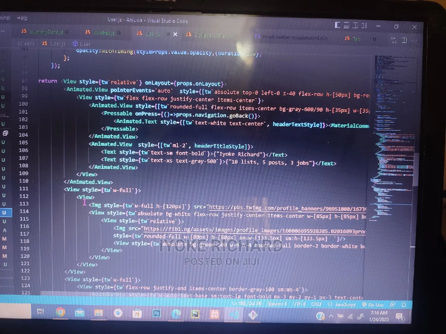 Software Developer