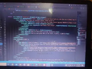 Software Developer