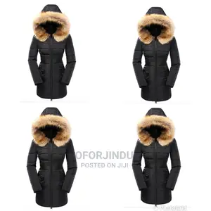 Winter Jacket Foreign Used Original