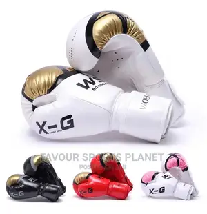 Premium Leather Boxing Gloves