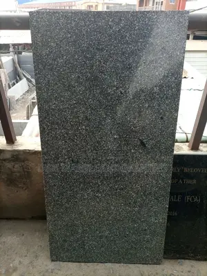 Granite Tiles Spotted Black