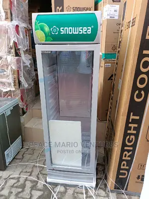 Quality Snowsea Standing Showcase With 3years Warranty 4step