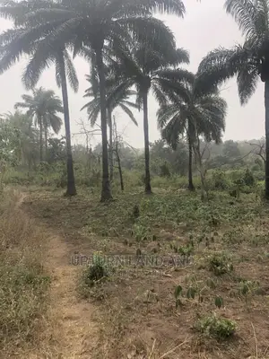 20 Acres of Land for Sale Along Ibadan Iseyin Road
