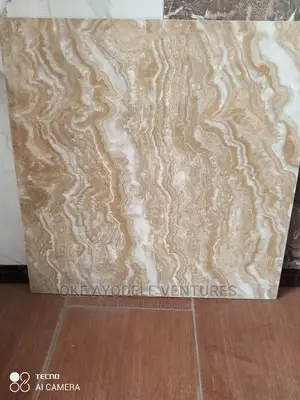 60/60 Polished Tiles 66215