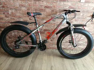 LA Fat Tyre Bicycle