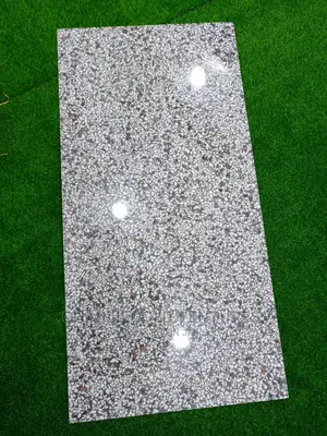 Dinner Seletion and Sitting Room Floor Tiles
