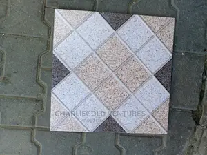 Toilet Quality Floor Tiles