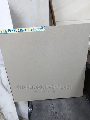 Vetrified Floor Tiles for Hall