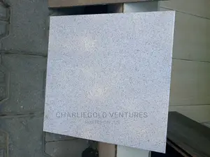 Toilet Floor Tiles for Your Home