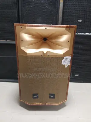 Modern Day PA System (MLG1522TWS)