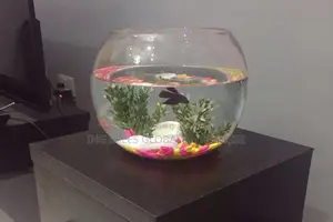10 Liter Children Pet Fish Bowl Complete Kit - 20% Discount