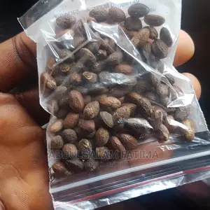 Miracle Seed