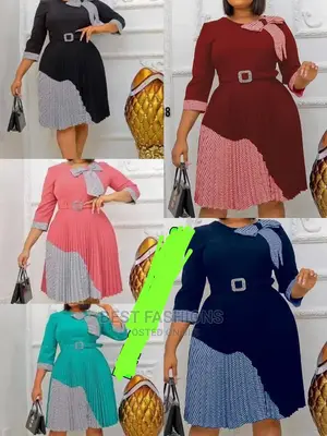 Ladies Pleated Formal Dress