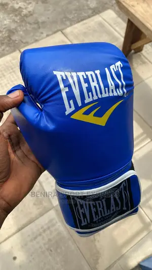 Everlast Boxing Gloves ( 01 )
