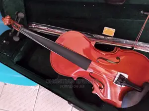 Professional Viola