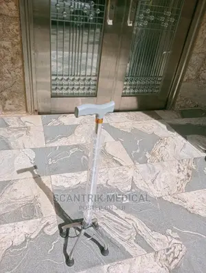 Quality Quadripod Stand - 4leg Walking Stick