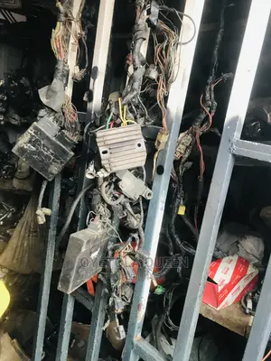 Complete Wiring and Brain Box for Suzuki Powerbike