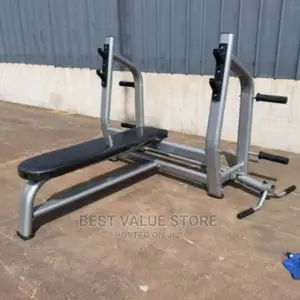 Commercial Weight Bench Curve