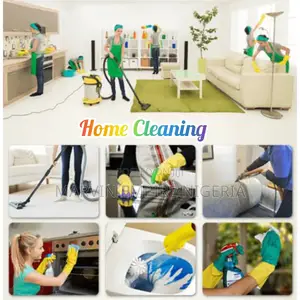 Professional Home Cleaning Services
