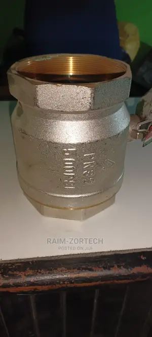 4" Brass, Chrome Pleated Ball Valve