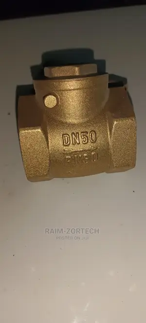 2" Brass Non-Return Valve for Liquid Line.