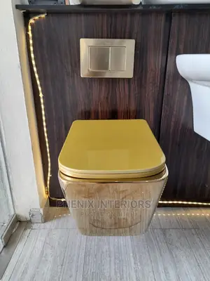 Gold Concealed Water Closet