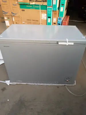 Hisense Deep Freeze 300liters