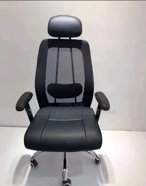 Executive Office Chair With Swivel