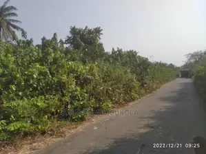 5000 Acres of Land for Lease Per Acre Per Annum