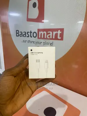 iPhone USB C to Lightning Cable