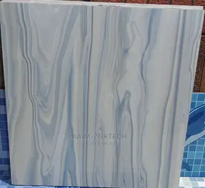 60x60 Polish Floor Tiles