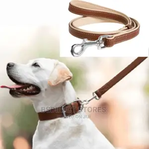CC Collar Soft Leather Lead, Brown (W-18mm, L-122cm) Medium
