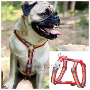 Red Dingo Adjustable Dog Harness - Rainbow Red. S - L