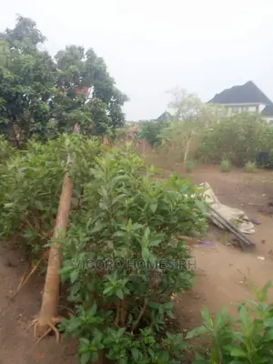 Estate Land