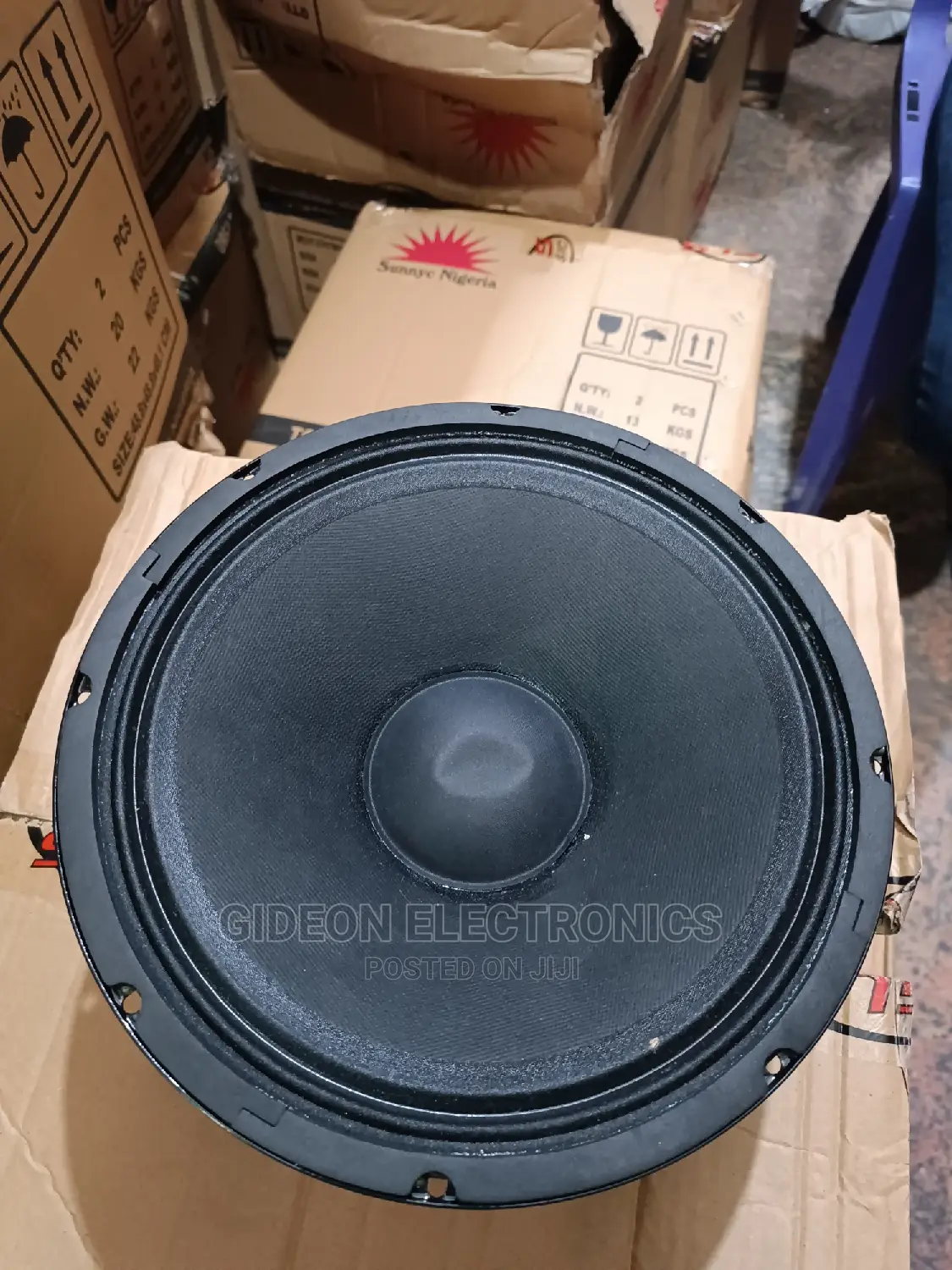 Titanic 10" Line Array Speaker