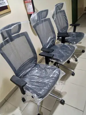 Office Chair (Ergonomic)