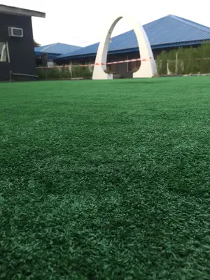 Synthetic Grass Carpet 25mm
