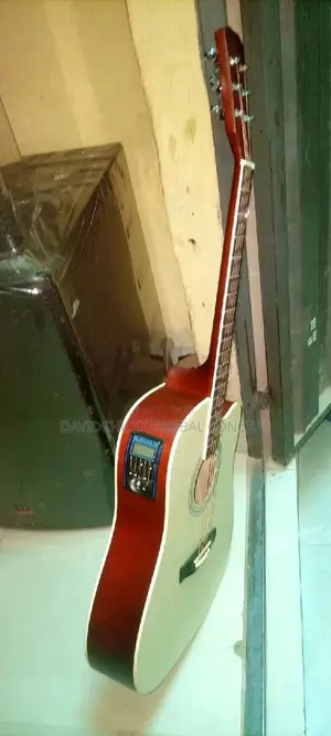 Semi Acoustic Guitar