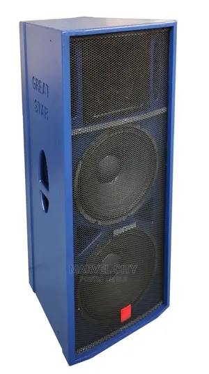 15” Double Professional Audio Speaker