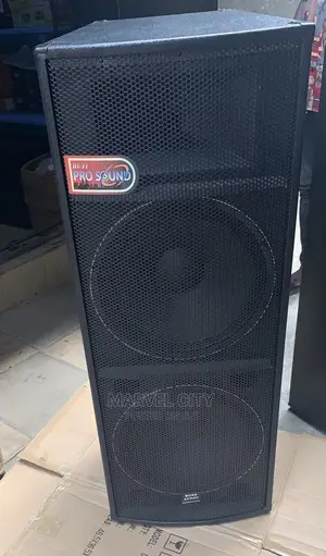 15” Double Professional Audio Speaker