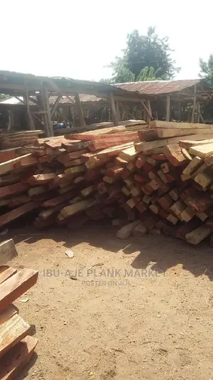 Ayin/Iron Woods for Roofing