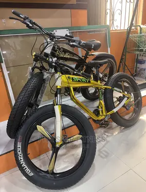 Brand New Electric Bike With Pedal