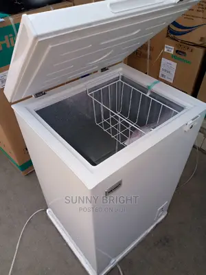 Skyrun Freezer 100liters