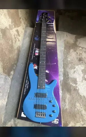 5 Strings Bass Guitar