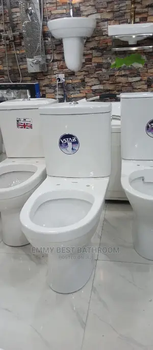 Original WC With the Wash Hand Basin And