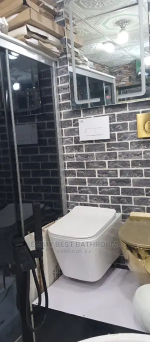 Wall Hung Wc Executive