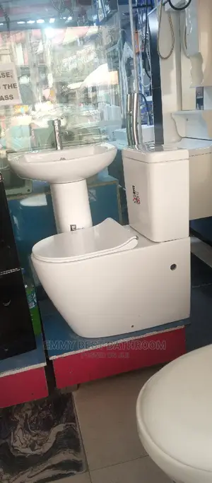 Masters Wc Set With the Wash Hand Basin