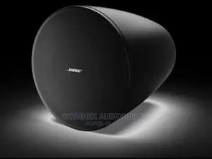 Bose Pendant Speaker